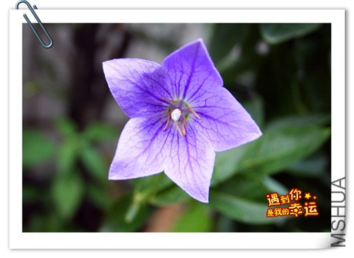 ��Ƭ 015_����.jpg