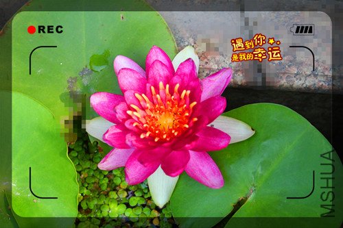 ��Ƭ 018_����22.jpg