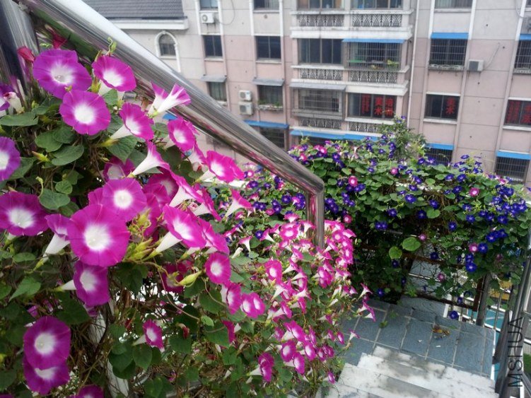 20120906_061108_conew1.jpg