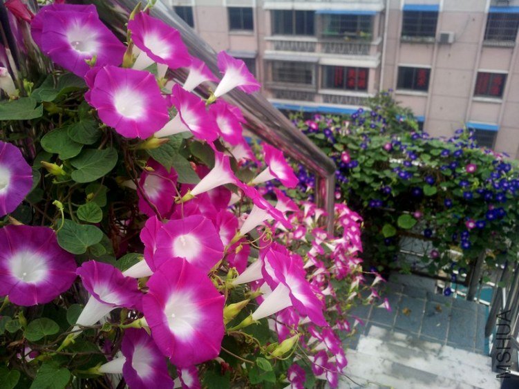 20120906_065114_conew1.jpg