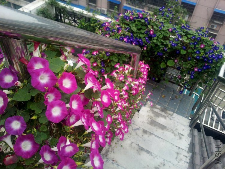 20120906_065128_conew1.jpg