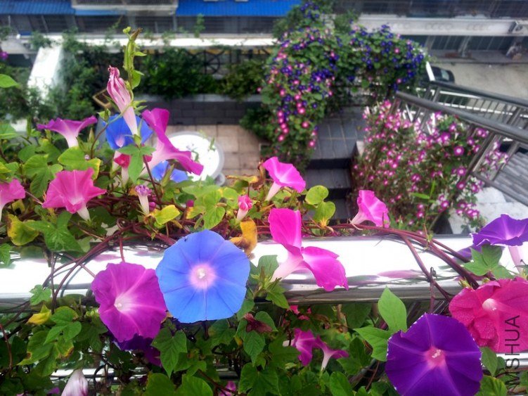 20120906_065212_conew1.jpg