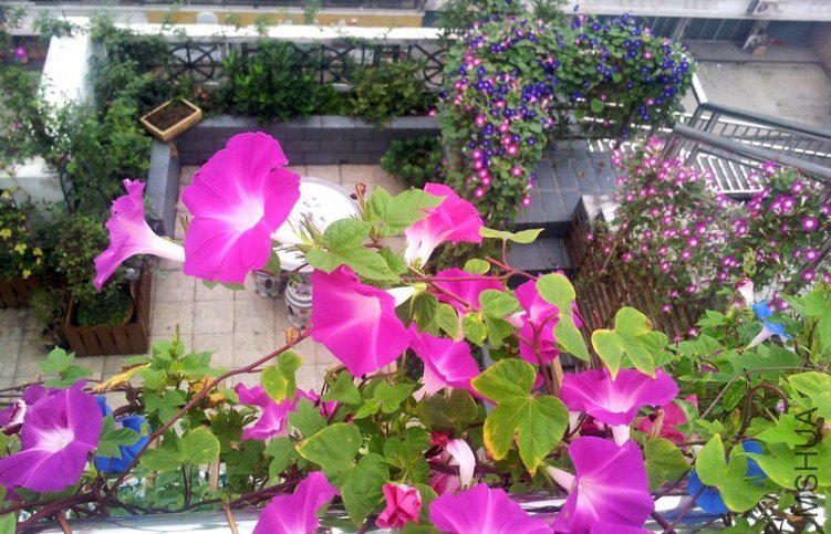 20120906_065253_conew1.jpg