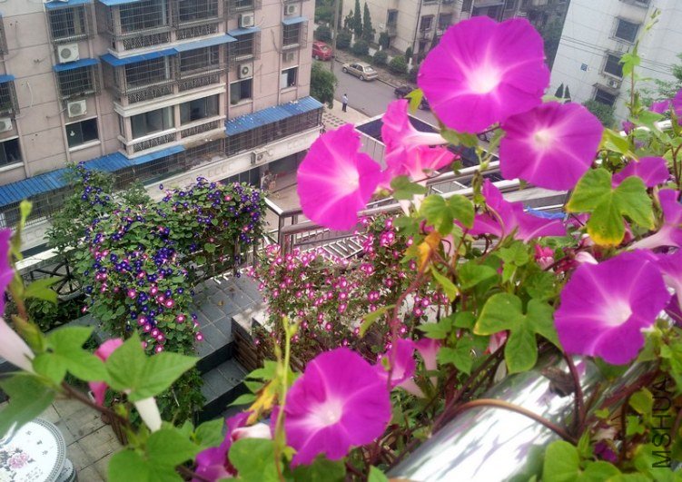 20120906_065334_conew1.jpg