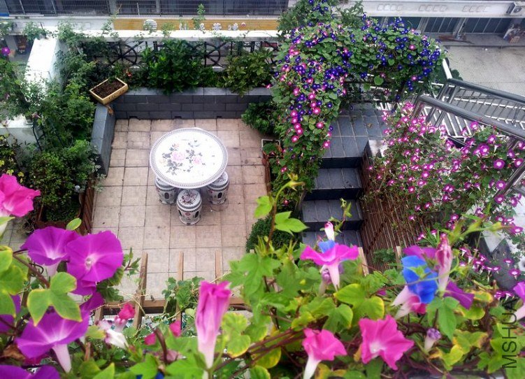 20120906_065435_conew1.jpg