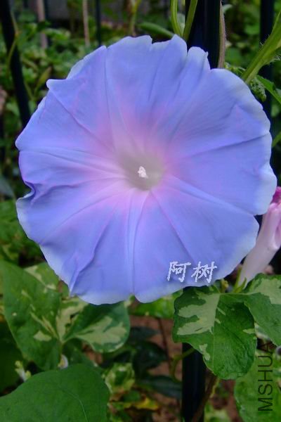 ��ʿ֮�� 2012-0713(012).jpg