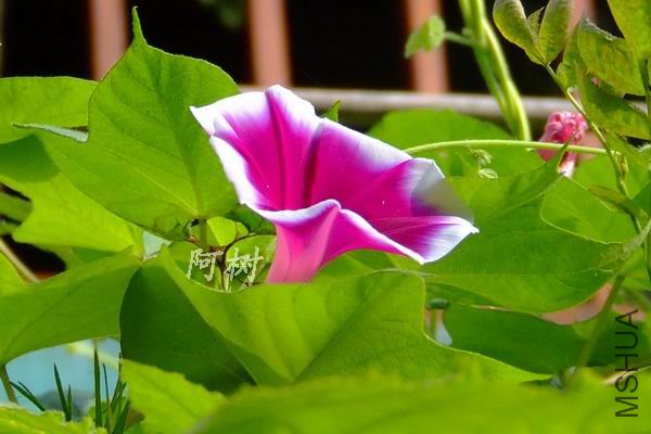 õ�츲�� 2012-0714(049).jpg