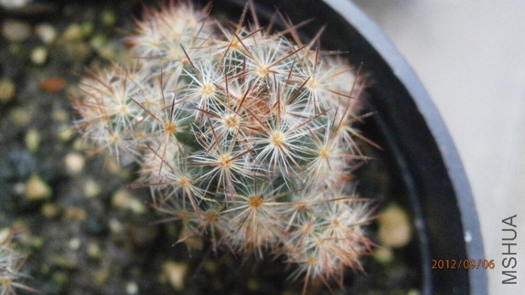 P9060102_����.jpg