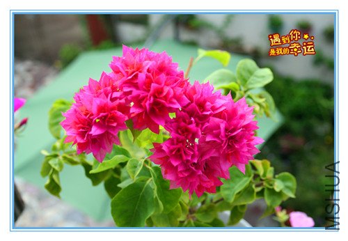 ��Ƭ 024_����.jpg