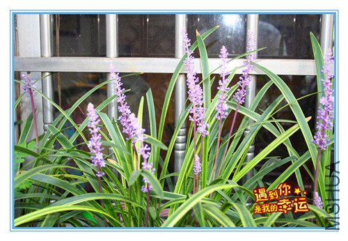 ��Ƭ 056_����.jpg