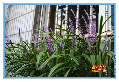 ��Ƭ 058_����.jpg