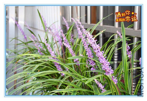 ��Ƭ 061_����.jpg