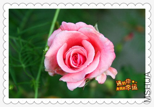 ��Ƭ 014_����1.jpg