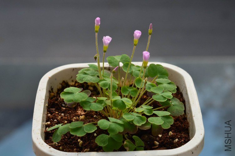 ����20120907 003.JPG