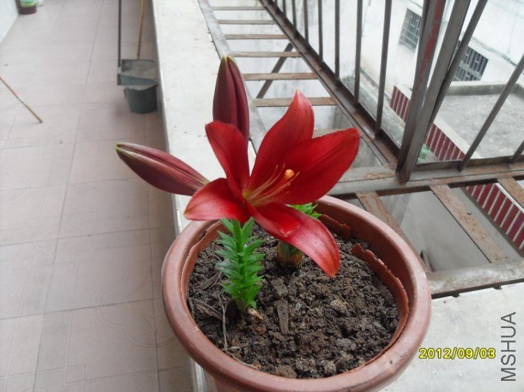 SDC14992.JPG