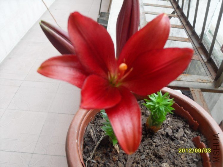 SDC14994.JPG