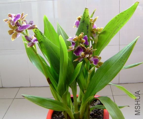 DSC05519.JPG