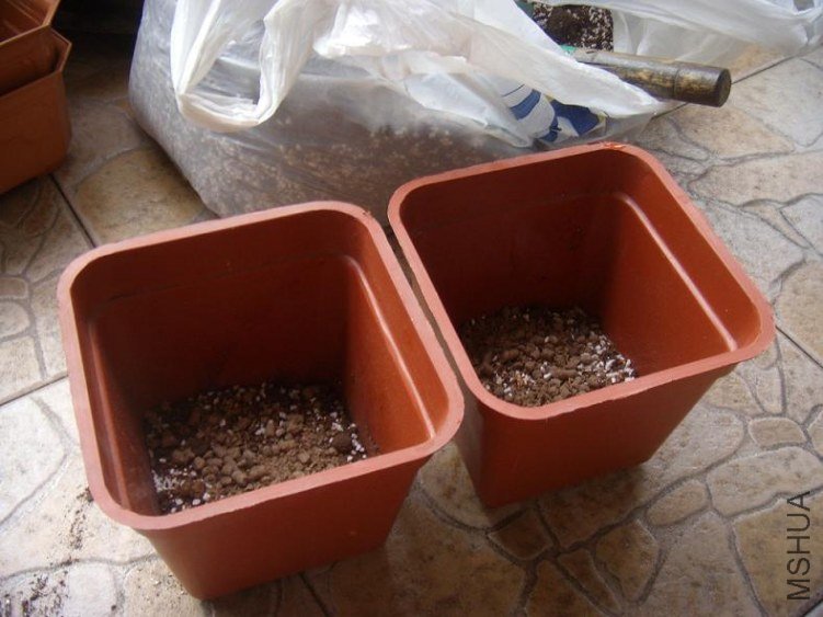 ���˷�����������һ������