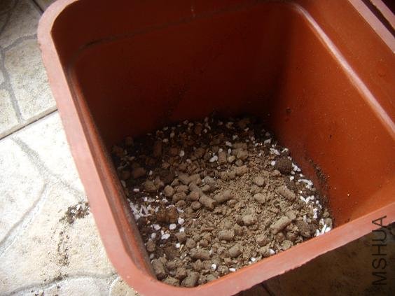 ��һ�㼦���