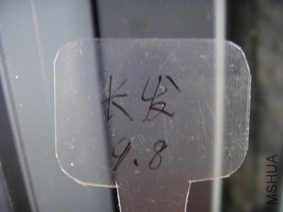 �����������ϱ�ǩ���