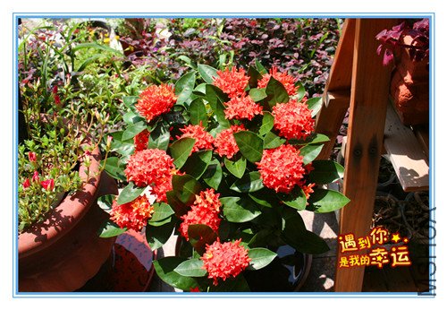 ��Ƭ 018_����.jpg