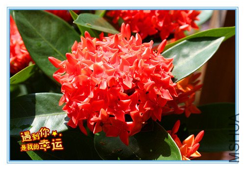 ��Ƭ 020_����.jpg