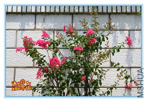 ��Ƭ 025_����.jpg