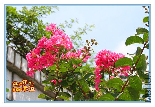 ��Ƭ 027_����.jpg