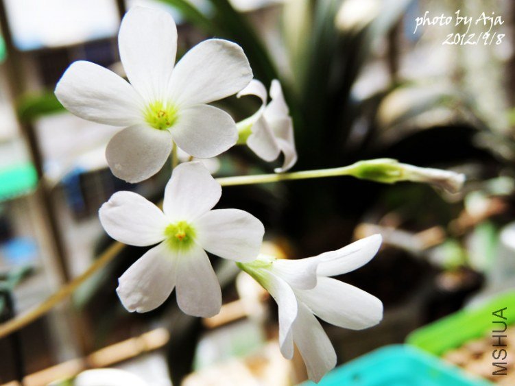 �׻�����ot�׻�����