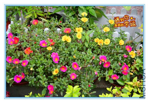 ��Ƭ 011_����.jpg