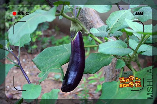 ��Ƭ 052_����.jpg