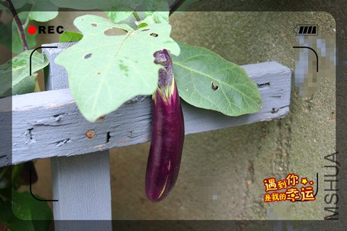 ��Ƭ 049_����.jpg