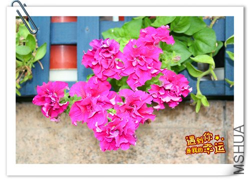 ��Ƭ 023_����.jpg