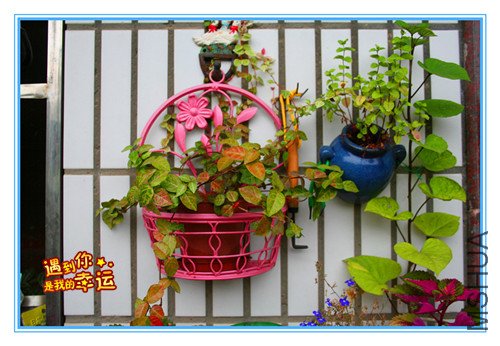 ��Ƭ 022_����.jpg