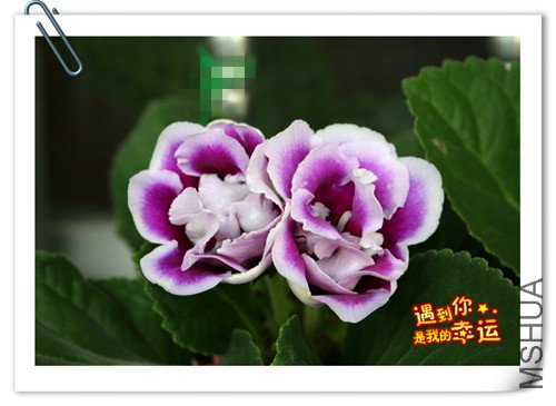 ��Ƭ 047_����.jpg