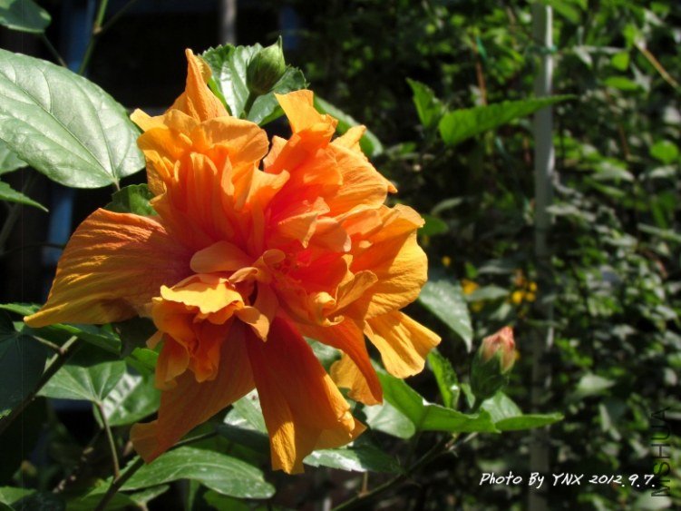 2012.8.25. 037_��ɣ.jpg