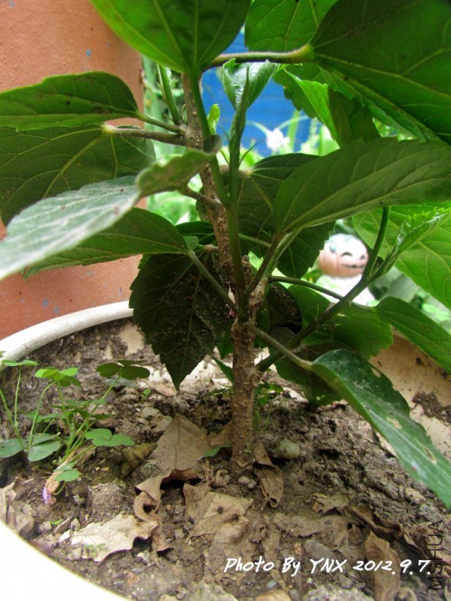 2012.9.7 037_��ɣ.jpg