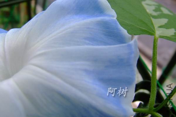 ������ 2012-0719(037).jpg