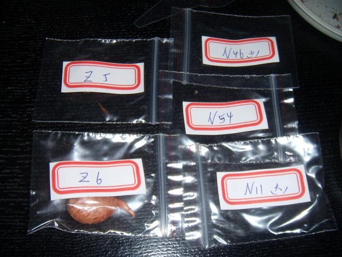 ��ʵһ������3��Ʒ�ֵ�~�������ֶ��ǲμ������ͻ�ģ�