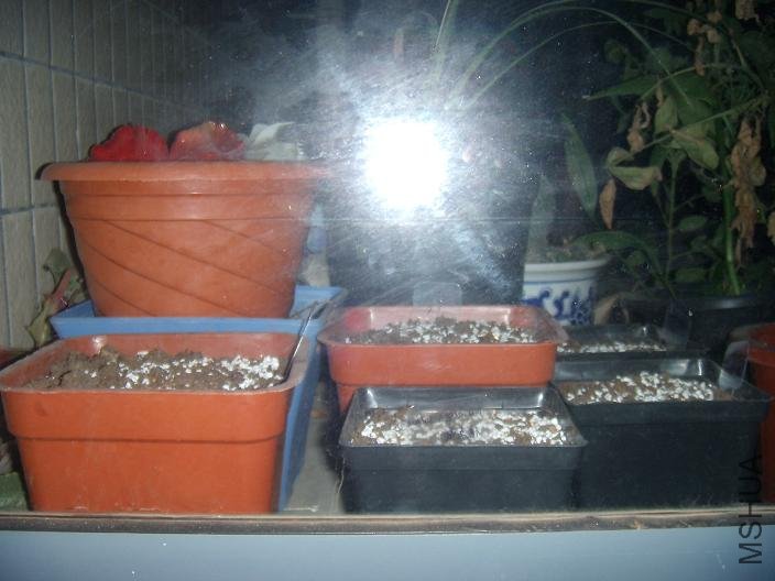 ����ʡ��N����Ƭ���ֺú���ڶ�����̨��ͨ��~ϣ���ܿ���ѿ��