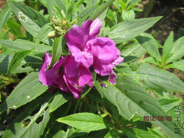 ��Ƭ 034.jpg