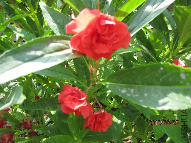 ��Ƭ 037.jpg