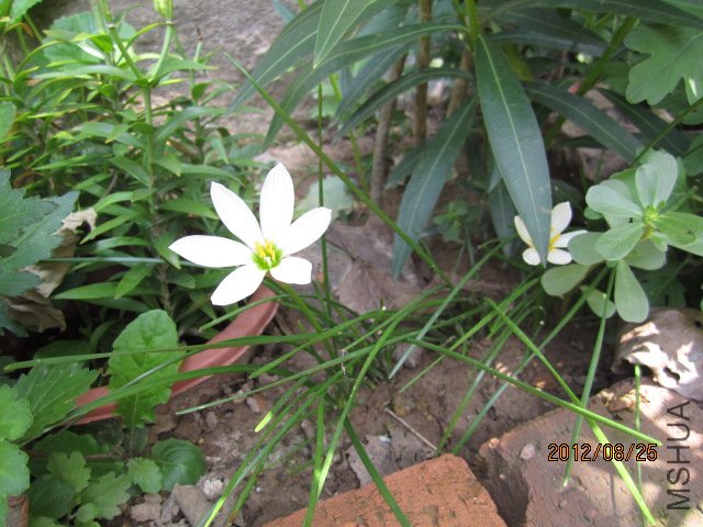 ��Ƭ 051.jpg