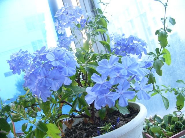 P1140835.JPG
