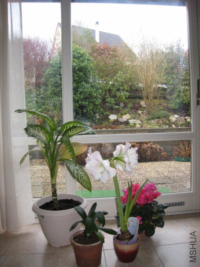 IMG_1464 [1024x768].JPG