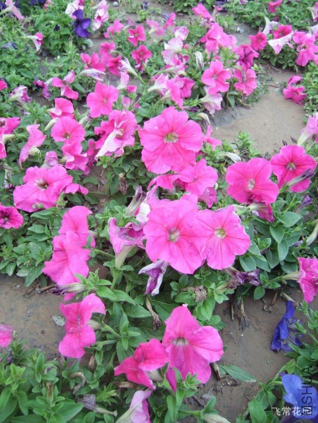 pict2240.jpg