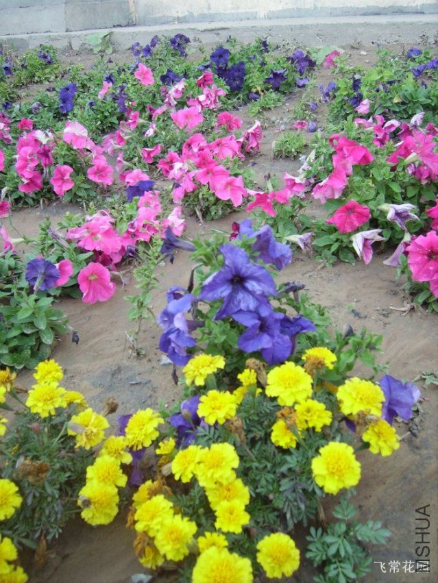pict2241.jpg