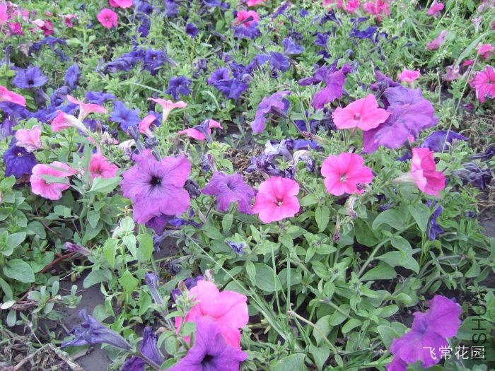 pict2242.jpg
