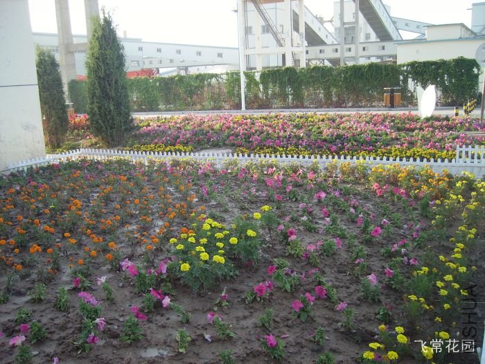 pict2227.jpg