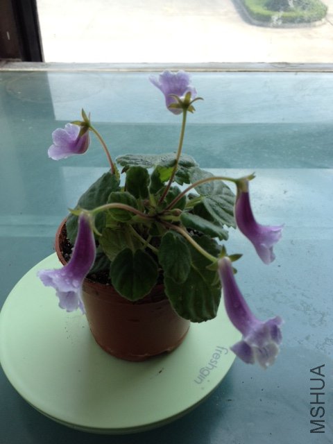 ����20120910 001.JPG